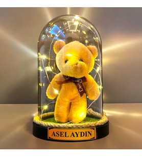 Kişiye Özel İsimli Büyük Boy Fanus, Led Işıklı ve Peluş Ayıcıklı Tasarım (Krem)