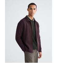 LCW Vision Kahverengi Polo Yaka Erkek Triko Hırka