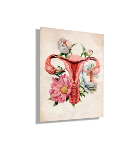 Temperli Cam Kadın Doğum Poliklinik Tablosu Soft Uterus