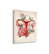 Temperli Cam Kadın Doğum Poliklinik Tablosu Soft Uterus