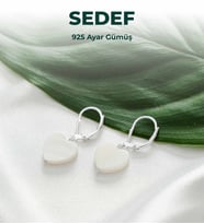 Luxtone Sertifikalı Sedef Kalpli 925 Ayar Gümüş Küpe Kadın Takı LX0891KP