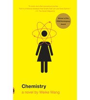 Chemistry: A Novel