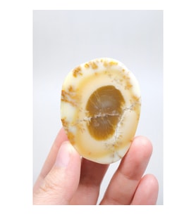 Sarı Merlinit - Konsantrik Göz Oluşumuyla Dendritik Opal Dilimi, 46g
