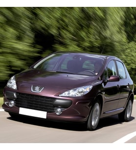 Peugeot 307 2005-2008 Sol Ön Sürücü Güneşlik Gri 8143HL