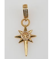 Kutup Yıldızı Zirkon Taşlı Gold Çelik Kolye Charm