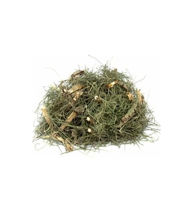 Dökme Bitkiler Atkuyruğı / Kırkkilit Otu -100 Gr