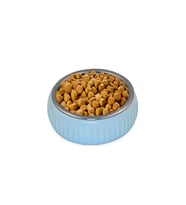 Mikopet Organik Seramik Mama Kabı Mavi (Çok Renkli)