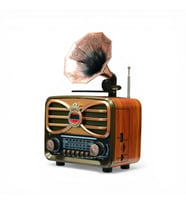 Nostaljik Tasarım Trend Radyo,Gramafonlu Bluetooth Nostalji Radyo