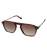 Quantum Q186.C2 51 Polarize Unisex Güneş Gözlüğü (Kahverengi)