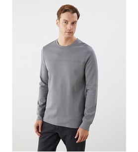LCWAIKIKI Classic Gri Bisiklet Yaka Baskılı Erkek Sweatshirt