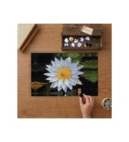 Beyaz Nilüfer Çiçeği Tasarımı 240 parça Ahşap Puzzle Ahşap Kutuda MP06335