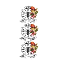 Artebella 5607V Home Design Kolay Transfer 10x25 cm 