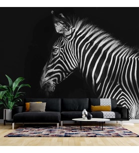 Zebra Temalı Duvar Kağıdı Baskı