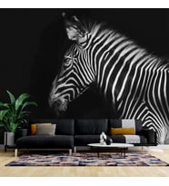 Zebra Temalı Duvar Kağıdı Baskı