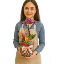 Saksıda Çiftli Mini Orkide