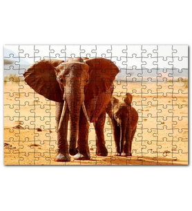 Cakapuzzle Afrika Savanada Anne Fil ve Yavrusu Puzzle Yapboz MDF (Ahşap) (120 Parça)