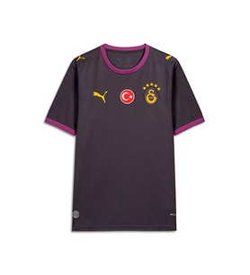 Puma Galatasaray 26/27 Deplasman Forması Erkek Galatasaray 26/27 Deplasman Forması 78501305 Gri