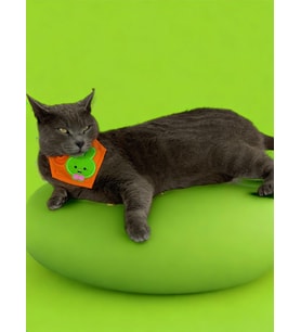 Green Bunny Kedi Bandana, Fular, Kedi Kıyafeti Kedi Elbisesi, Kedi Tasması (Karışık)