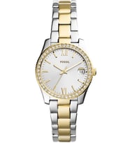 Fossil FES4319 Kadın Kol Saati