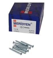 MERİDYEN SUNTA VİDASI PAKET 4*35 500AD