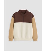 LCW Kids Kahverengi Renk Bloklu Erkek Çocuk Kalın Sweatshirt