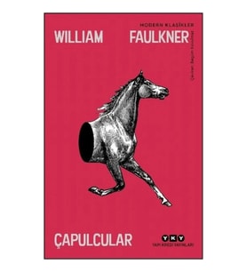 Çapulcular