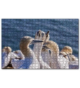Cakapuzzle Deniz ve Sümsük Kuşları  Puzzle Yapboz MDF (Ahşap) (120 Parça)