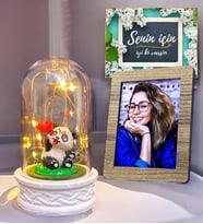 Kişiye Özel Led Işıklı Pandalı Fanus  Sevgiliye Hediye  Doğum Günü Hediyesi