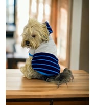 Blue Line Kapşonlu Sweatshirt Köpek Kıyafeti Köpek Elbisesi  (Mavi)