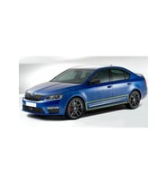 Skoda Octavia Uyumlu A7 Yan Kapı Çıtası -2015 Paslanmaz Çelik Parça
