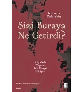 Sizi Buraya Ne Getirdi?