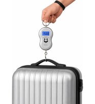 Tartası, El Tartısı 50 kg, LCD Ekran, Paslanmaz Çelik, Bavul, Balık, Et, Pazar ve Kargo Tartısı
