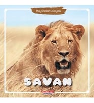 SAVAN  HAYVANLAR DÜNYASI  YUMURCAK