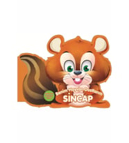 Sincap - Benim Hayvan Dostlarım (ciltli)