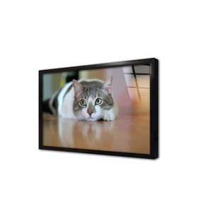 Kedi Çerçeveli Cam Tablo
