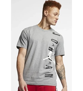Nike Jordan Jumpman Vertical Logo Standart Fit Erkek Spor Tişört (Gri)
