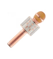 Wster Ws-858 Karaoke Mikrofon - Pembe
