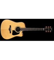 IBANEZ AW3000CE-NT