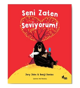 Seni Zaten Seviyorum