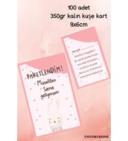 100 Adet Pembe Tavşanlı Çift Yönlü Teşekkür Kartı - Paketleme Kartı 
