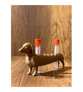 Köpek Laboratuvar ve Kan Tüpü Standı