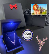 Işıklı Kutusunda 925 Ayar Gümüş Kelebek Kolye - Kişiye Özel Fotoğraflı