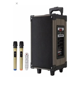 Hoparlör Çift Mikrofon, Bluetooth, USB, Sd Kart Kumandalı 100Watt Karaoke Sistemi Tekerlekli Amfi