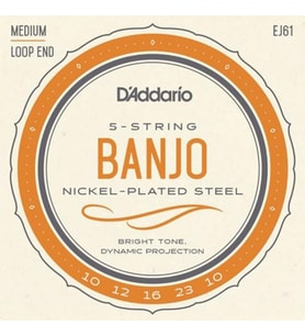 D’Addario EJ61 Banjo Tel Seti – Nickel Wound, 10-23, Medium