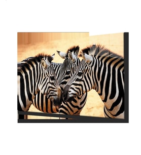  Zebra Hayvan Cam Tablo 4mm Dayanıklı Temperli Cam