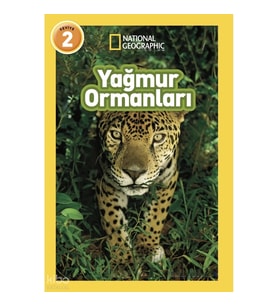 Yağmur Ormanları
