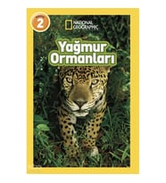 Yağmur Ormanları