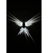 Kartal Led Lamba Duvara Montaj Pilli Model Siyah RENK