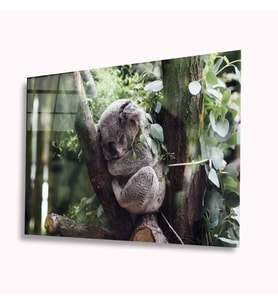 Koala Cam Tablo 4mm Dayanıklı Temperli Cam
