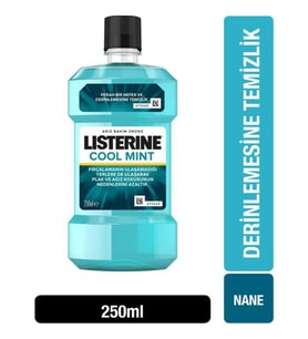 Northcity Coolmint 250Ml 1 Adet